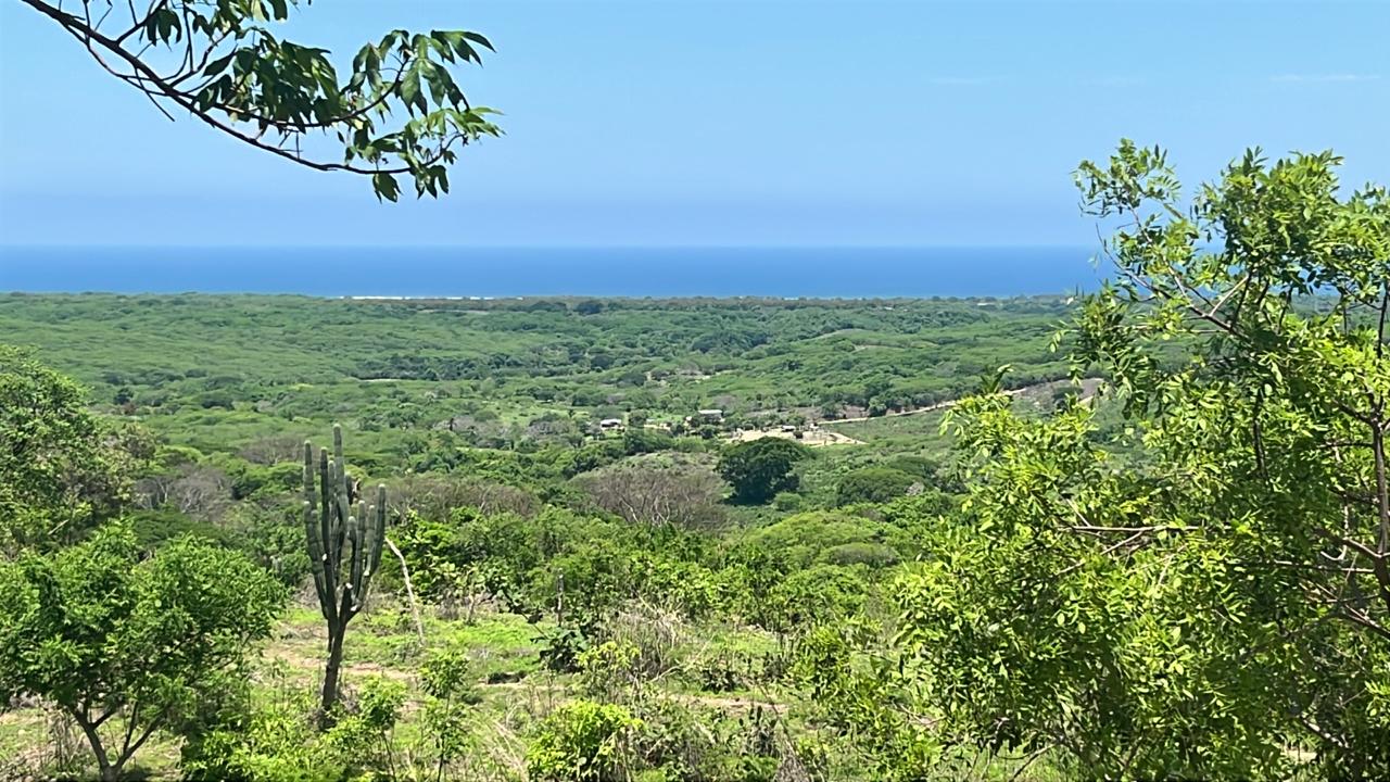 Ubicación